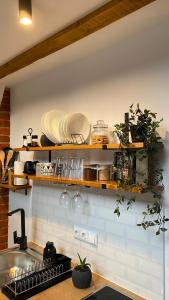 a kitchen with wooden shelves with plates and dishes at Alpi Cabin Pridolci in Busovača