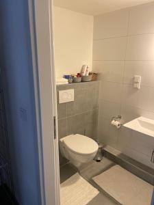 een badkamer met een wit toilet en een wastafel bij BB Home in Altenstadt