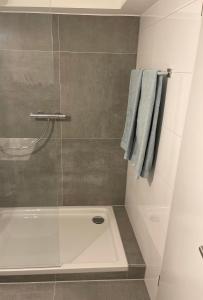 een badkamer met een douche en een glazen deur bij BB Home in Altenstadt