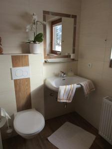 ein Badezimmer mit einem WC, einem Waschbecken und einem Spiegel in der Unterkunft Apartments Egger Barbara in Gosau