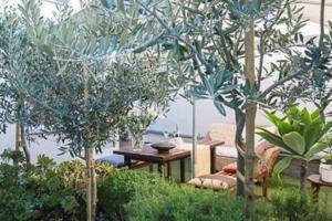 a garden with a table and chairs and trees at Delightful db story loft with airconditioning in Hermanus