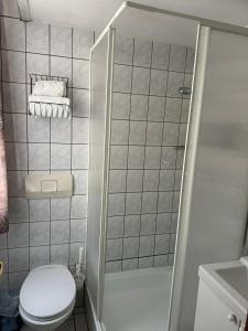 a small bathroom with a toilet and a shower at Hotel Goldenes Lamm in Idstein