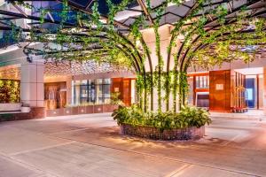 un gran árbol en medio de un edificio en Hilton Kinshasa en Kinshasa