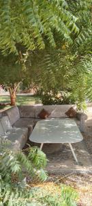 a picnic table and a couch under a tree at The Holiday Farm in Barka