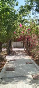 a walkway with pink flowers and trees in a park at The Holiday Farm in Barka