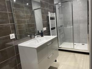 La salle de bains est pourvue d'un lavabo blanc et d'une douche. dans l'établissement L’escale féerique, à Auxerre