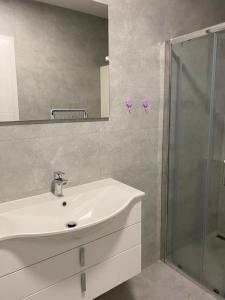 ビハチにある,,Azra,, Apartmentの白い洗面台とシャワー付きのバスルーム