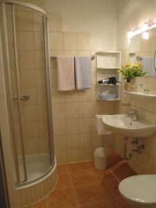 ein Bad mit einer Dusche und einem Waschbecken in der Unterkunft Kur- und Gästehaus Villa Anna in Bad Hofgastein