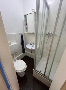 een kleine badkamer met een toilet en een douche bij Kranich-1-4-Personen in Brunsbüttel