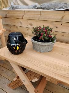 a wooden table with two plants on top of it at Forbord Dome in Tilleraune