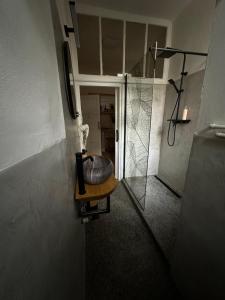 z widokiem na łazienkę z prysznicem w pokoju w obiekcie Apartmán Lucián w Pradze