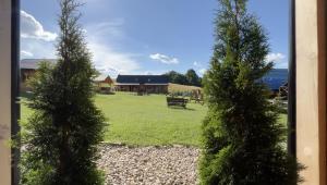 a view of a park with two trees and a bench at Osada Karkonoska in Kowary +25 photos
