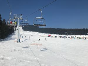 a group of people on a ski lift in the snow at Appartement Wolfshagen in Elbingerode