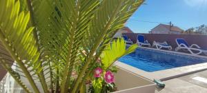 Πισίνα στο ή κοντά στο Apartment Azeret with swimminpool