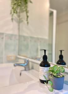 a bathroom sink with a bottle of soap and a plant at Cosy 3BR House, 7 mins drive to Macquarie Centre, 5 stars on AirB&B in Sydney