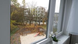 Vonkajšia záhrada v ubytovaní WITH LOVE Marienbad Ap. Garden