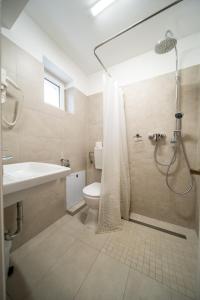 a bathroom with a shower and a toilet and a sink at Lilla Panzió in Odorheiu Secuiesc