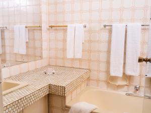 Koupelna v ubytování Ngwenya City Hotel + 23 fotografií