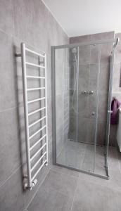 y baño con ducha y puerta de cristal. en Apartmány Viviena en Brno