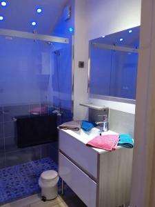 Un baño con ducha, lavabo e inodoro. en L'Écurie de Lili entre Bourges et Sancerre, en Azy 26 fotos más