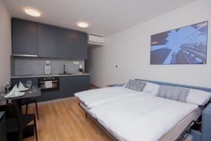 1 dormitorio con 1 cama grande y cocina en Apartmány Viviena en Brno