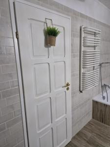 a bathroom with a white door with a potted plant at Apartament Mar&Mel in Głuchołazy