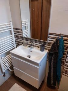 a bathroom with a white sink and a mirror at Apartmán Pod Bukem in Červená Voda +16 photos
