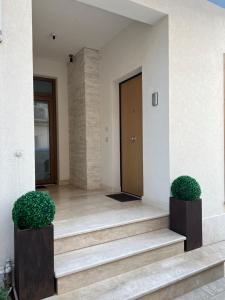een lobby met trap en een deur met twee struiken bij Mare Blu Apartament in Balestrate