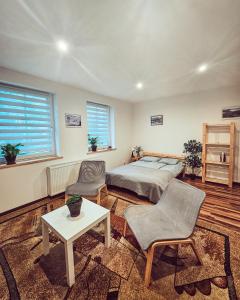 1 dormitorio con 1 cama, mesa y sillas en Apartament 5 minut od Parku Zamkowego, en Pszczyna