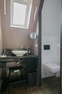 a bathroom with a sink and a toilet and a window at Molepôlle 7 - Stadslogementen Franeker in Franeker