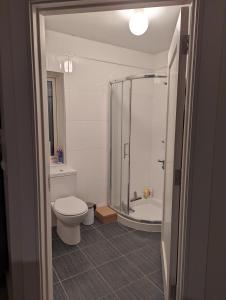 een badkamer met een douche, een toilet en een bad bij Brona Dempsey in Birr