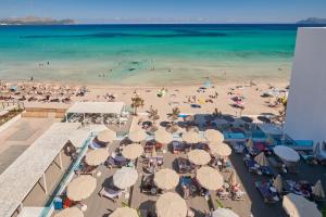 Luftaufnahme eines Strandes mit Menschen im Wasser in der Unterkunft The Sea Hotel by Grupotel - Adults Only in Can Picafort