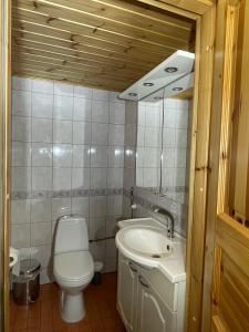 a bathroom with a toilet and a sink and a mirror at Ulkoporeamme Niemelä in Melkoniemi