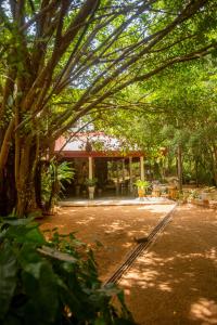Zahrada ubytování Evergreen Hotel Dambulla