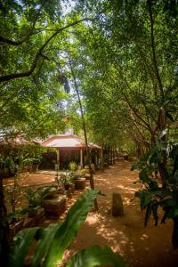 Zahrada ubytování Evergreen Hotel Dambulla