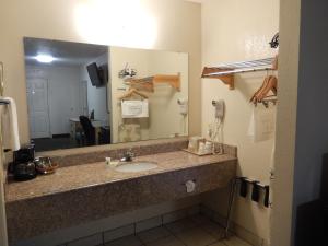 Koupelna v ubytování Executive Inn Pearsall