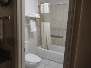 Koupelna v ubytování Executive Inn Pearsall