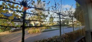 a view of a street from a window with trees at B & B De Groene Slaper in Silvolde