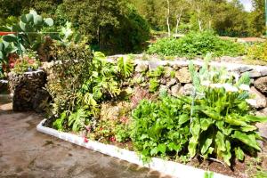 Vonkajšia záhrada v ubytovaní La Vega Rural de Garachico, near Santa Cruz de Tenerife