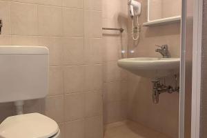 uma casa de banho com um WC e um lavatório em Appartamenti Ladina em Campitello di Fassa