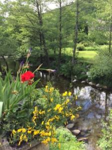einen Garten mit Blumen und einem Wasserlauf in der Unterkunft Gîte de la Chatiere in Villefort