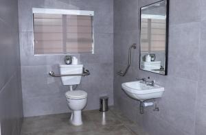科克斯塔德的住宿－EDEN BOUTIQUE HOTEL，一间带卫生间、水槽和镜子的浴室