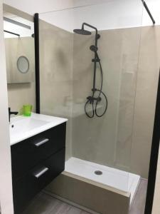 a bathroom with a shower with a sink and a toilet at Le Grenier d'annick in Villefort