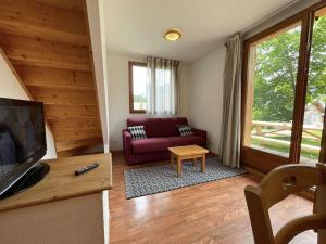 a living room with a couch and a tv at Chalet Le Dévoluy, 3 pièces, 4 personnes - FR-1-525-270 in Le Dévoluy