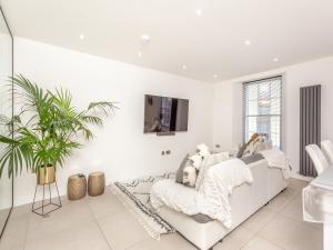 a white living room with a white couch and a plant at Spire View in Aberdeen