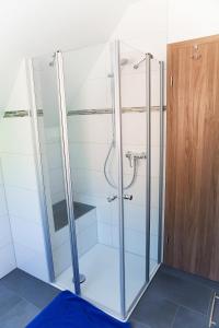 a shower with a glass door in a bathroom at Mayer Burghöfe in Owingen
