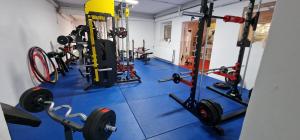 a gym with lots of equipment on a blue floor at Darkwolf House in Merseburg
