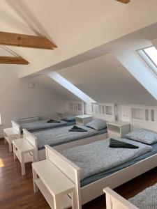 a row of beds in a room with skylights at HOSTEL VANEČA in Puconci