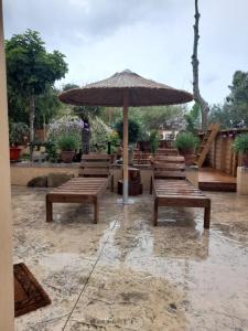 A garden outside Selana House with outdoor pool