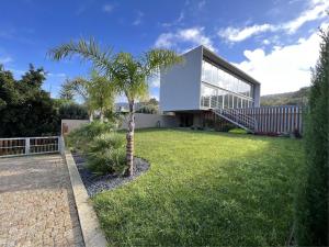 una palma di fronte a una casa di Casa da Arda, piscina exclusiva, entre mar e a montanha a Armada